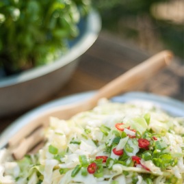 BBQ cabbage salad 2015